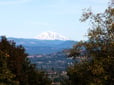 View of Mount Adams from Hogan Butte Nature Park