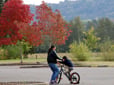 Photo of an adult helping a child learning how to ride a bike in a lot with autumn trees in the background