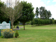 Trees, path and lawn at Hollybrook Park