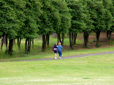 Trees, path and lawn at Hollybrook Park