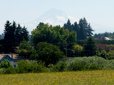 View of Mount Hood from Southeast Community Park