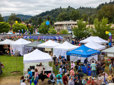 Aerial photo of Gresham Arts Festival