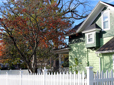 House in Historic Southeast Neighborhood in Gresham