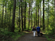 Nadaka Nature Trail in Gresham