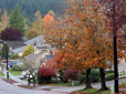 Houses and trees in Southwest Neighborhood in Gresham