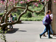 Photo of students on their way to class at Mt. Hood Community College