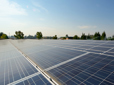 Large solar array with trees in the distance. 