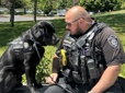 Comfort dog, Tagg, sits with handler Officer Chris Anderson.