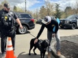 Officer Anderson holds Tagg the comfort dog as someone pets him.