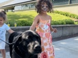 Two kids, one with a painted face, hold comfort dog Tagg outside of City Hall. 