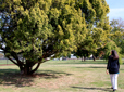 Photo of a woman walking on a lawn near a large tree