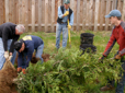 Photo of a group of volunteers helping to plant trees