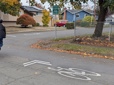 A bicycle pavement marking and a Gresham Greenway sign mark the bicycle route. 