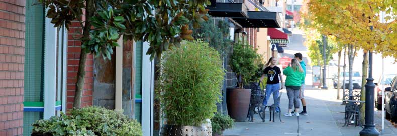 Exploring the shops and businesses along Civic Drive.