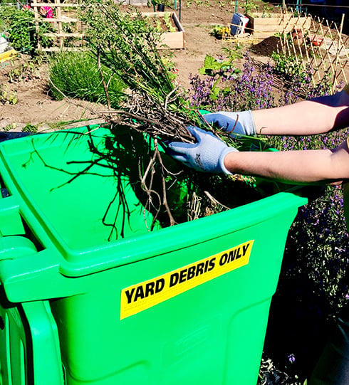 Hand holding twigs and other natural materials over yard debris cart.