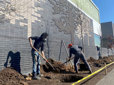 Volunteers planting trees in Rockwood