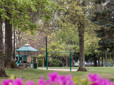 Play structure, lawn and path in Bella Vista Park