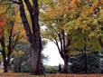 People in Bella Vista Park