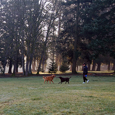 Columbia View Park