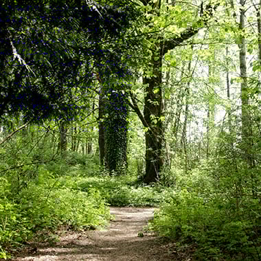 East Gresham Park
