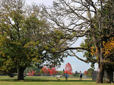 Gradin Sports Park arboretum