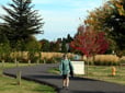 Walking path at Gradin Sports Park