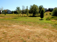 Trees and grass in Jenne Butte Neighborhood Park