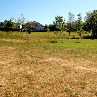 Jenne Butte Park