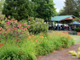 Coho picnic shelter at Main City Park