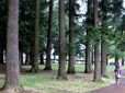 People walking on path in North Gresham Park