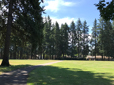 Field, path and trees in Pat Pfeifer Park