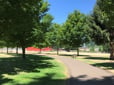 Field, path and trees in Pat Pfeifer Park