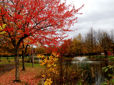 Fountain and autumn trees in Red Sunset Park