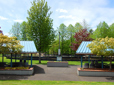 Picnic shelter at Red Sunset Park