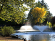 Pond at Red Sunset Park