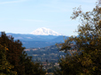 View of Mount Adams from Shane T. Bemis Nature Park.