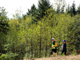 People running on Hogan Butte, Shane T. Bemis Nature Park.