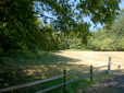 Grass and trees in South Central Neighborhood Park