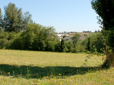 Trees and grass in Southeast Community Park