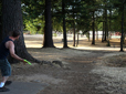 Person playing disc golf in Vance Park