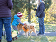 People and dogs participating in Wag N Walk event